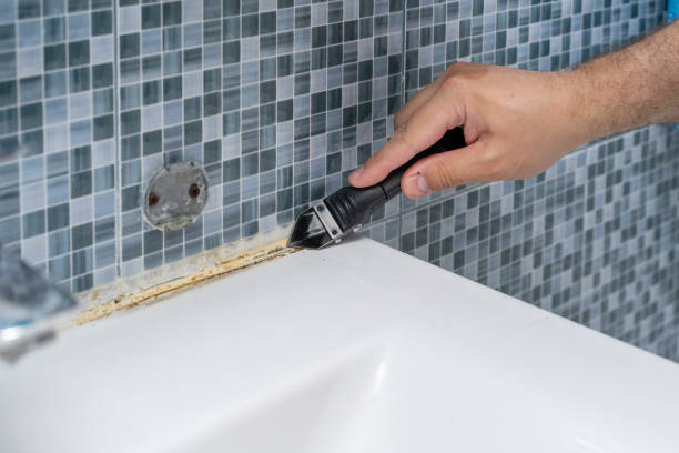 Best Localized Mold Remediation (e.g., coastal areas, humid climates) in Windsor, NC