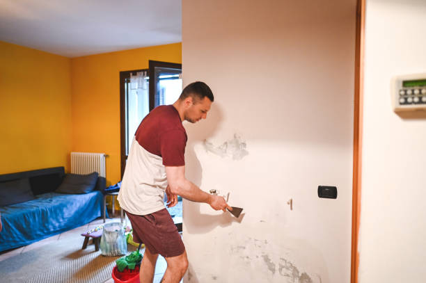 Best Insurance-Related Mold Remediation in Windsor, NC
